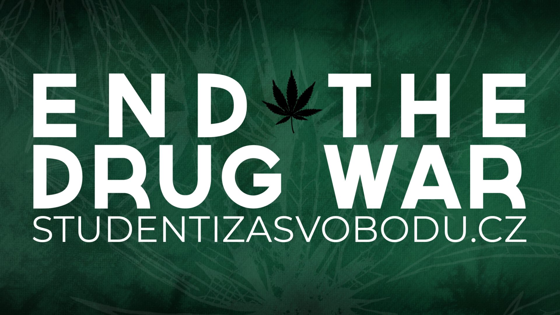 End the Drug War