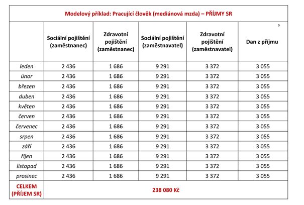 Příjmy od pracujícího člověka